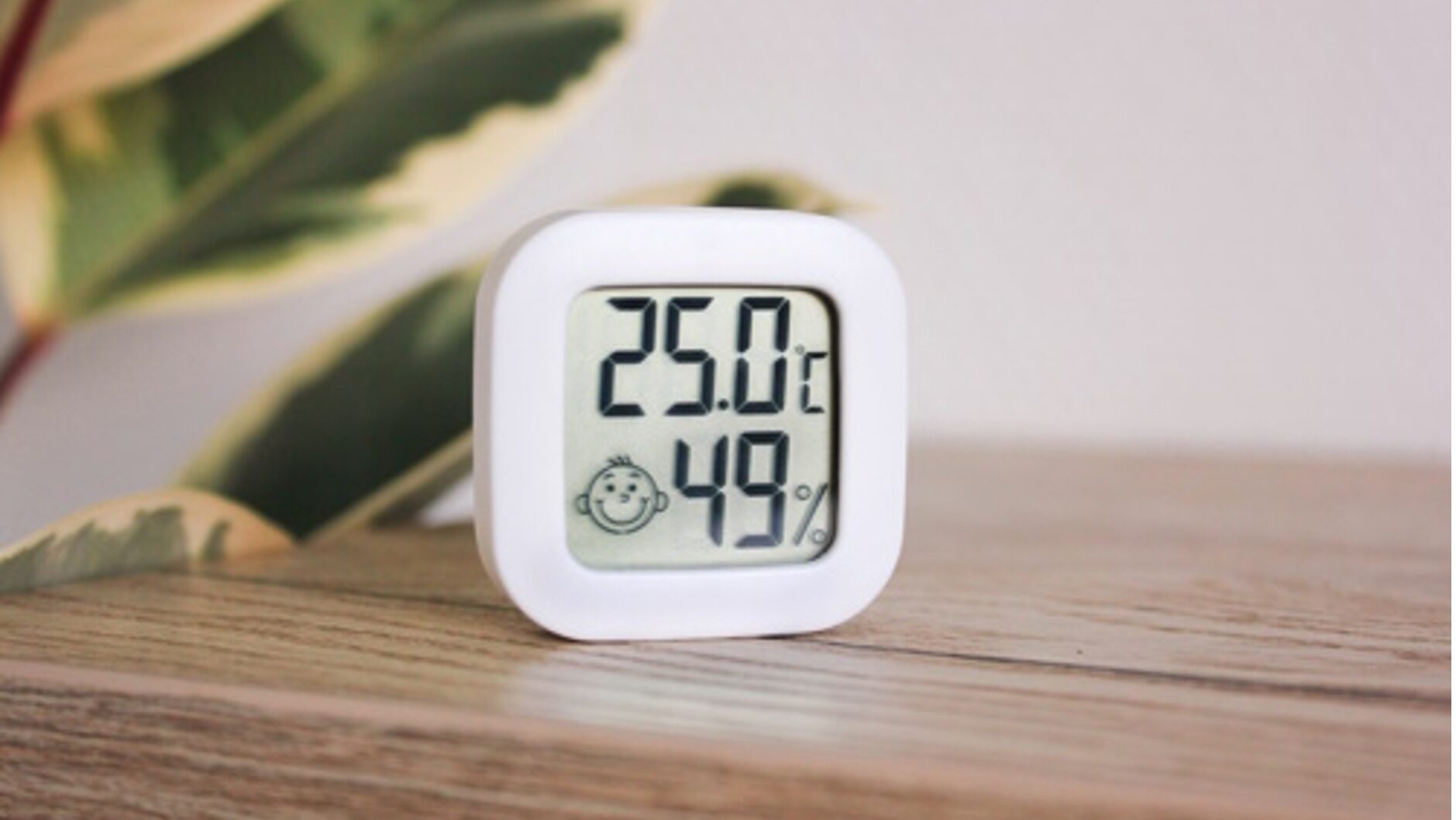 luchtvochtigheidsmeter