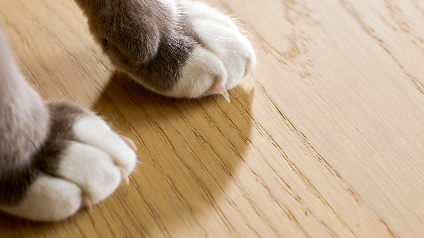 Parky_Blog-Banner_De-meest-gestelde-vragen-over-Parky-1400×788