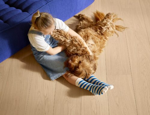 Fineerparket of meerlagenparket: wat is het verschil?